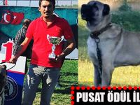 PUSAT'a Ankara'da Ödül
