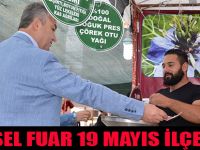 YÖRESEL FUAR 19 MAYIS İLÇESİNDE