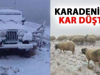 Yılın ilk karı Ordu'ya düştü