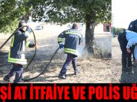 Sen Ateşi At, İtfaiye ve Polis Uğraşsın