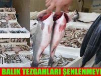 Bafra'da Balık Tezgahları Şenlenmeye Başladı