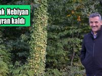 Vali Kaymak Nebiyan dağına hayran kaldı