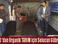 Bafra GİAD ‘dan Organik TARIM için Solucan Gübresi Projesi