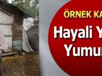 Örnek Kadının hayali Yeşil Yumurta
