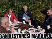Nebiyan Kestanesi Türkiye’nin Markası Olacak