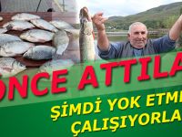 Şimdi onu temizlemek için çaba sarf ediliyor