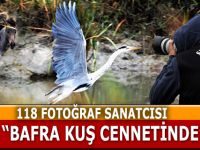Bafra Kuş Cennetinde 118 Fotoğrafcı