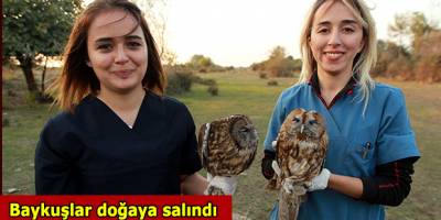 Deltada Baykuşlar doğaya salındı