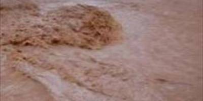 ODUN TOPLARKEN SELE KAPILDI