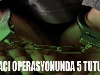 BAFRA'DA TORBACI OPERASYONUNDA 5 TUTUKLAMA