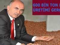 600 BİN TON FINDIK ÜRETİMİ GERÇEKLEŞTİ