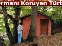 Ormanı Koruyan Türbe