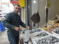 Karadeniz Coştu Bir Kere