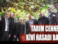 TARIM CENNETİNDE KİVİ HASADI