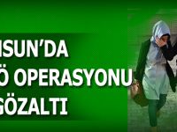 Samsun'da 11 zanlı gözaltında