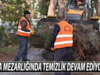 BAFRA MEZARLIĞINDA TEMİZLİK DEVAM EDİYOR