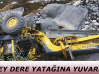 GREYDEY DERE YATAĞINA YUVARLANDI