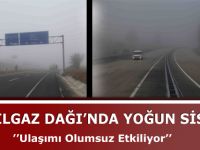 Ilgaz Dağı'nda Yoğun Sis