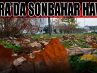 Bafra'da Sonbahar Geldi