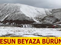 Giresun Beyaza Büründü