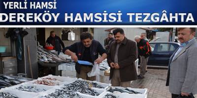 Bafra'da Hamsi Bolluğu: Tezgahlarda Yerli Hamsi 5 Lira