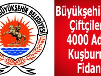 Büyükşehir’den Çiftçilere 4000 Adet Kuşburnu Fidanı