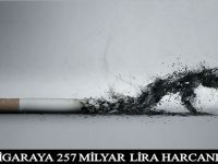 SİGARAYA 257 MİLYAR LİRA HARCANDI