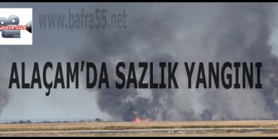 Alaçam'da Sazlık Yangını