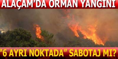 ALAÇAM’DA ORMAN YANGINI  SABOTAJ MI?