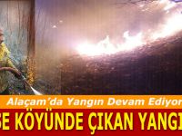 Alaçam Köse Köyde Orman Yangını 3 Gündür Devam ediyor