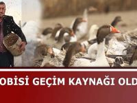 Hobisi Geçim Kaynağı Oldu