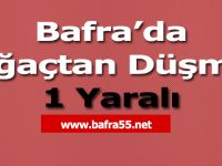 Bafra’da Ağaçtan Düşme