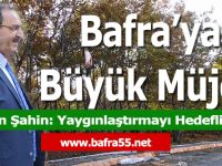 Bafra’ya Orman Müjdesi
