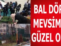 BAL DÖRT MEVSİMDE GÜZEL OKUL