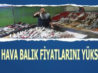 Sıcak Hava Balık Fiyatlarını Yükseltti