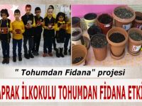ALTINYAPRAK İLKOKULU TOHUMDAN FİDANA ETKİNLİĞİ