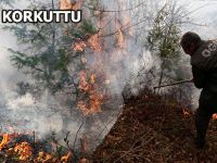 ORMAN YANGINI PANİK YARATTI