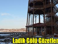 Ladik Gölü Gözetleniyor