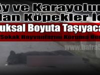 Hayvanseverlerden Basın Açıklaması