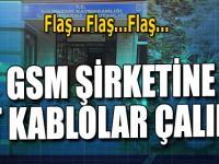 GSM Şirketinin Kablolarını Çaldılar