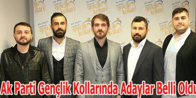 Ak Parti Gençlik Kollarında Adaylar Belli Oldu