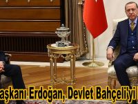 Cumhurbaşkanı Erdoğan, Devlet Bahçeli'yi kabul etti
