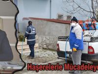 19 Mayıs Belediyesi Haşerelerle Mücadeleye Başladı