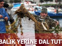 BALIK YERİNE DAL TUTTULAR