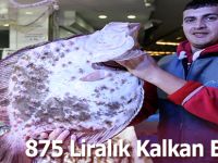 875 Liralık Kalkan Balığı