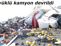 Sebze yüklü kamyon devrildi