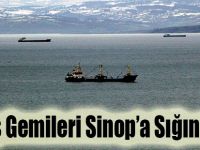 Savaş Gemileri Sinop’a Sığındılar