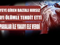 Belediyeye Giren Hırsız Yakalandı
