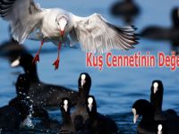 Kuş Cennetinin Değeri Nihayet...