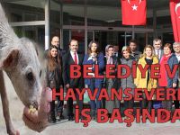 Belediye ve Hayvan severler İşbaşında